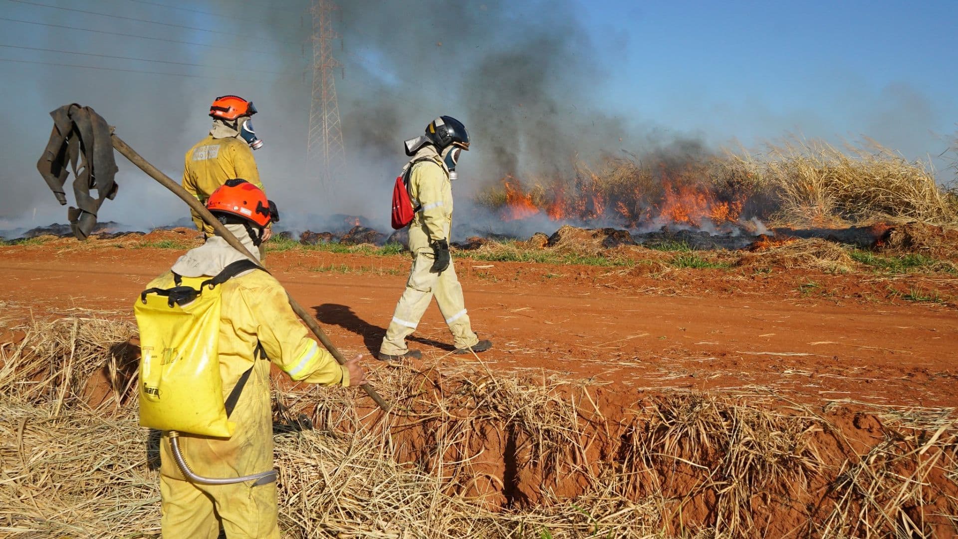 Bombeiros coordenam nova queima preventiva para proteger floresta